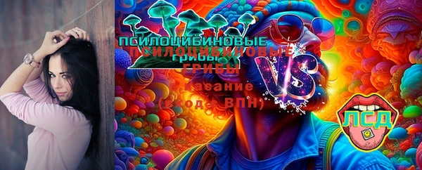 эйфоретик Балахна