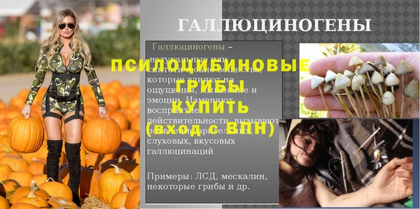 эйфоретик Балахна