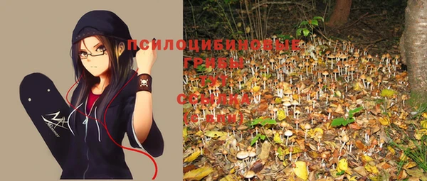 каннабис Беломорск