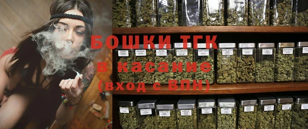 крисы Баксан